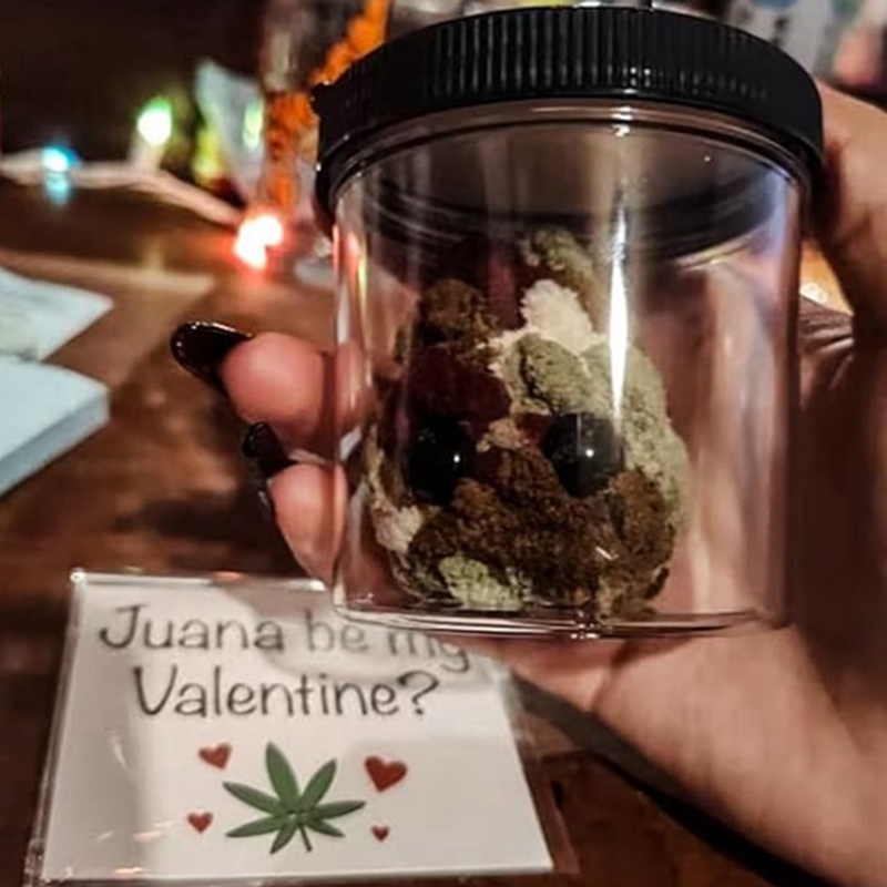 Bir ot Plushie, kavanoz komik  - Dry Herb Vaping Accessories incelemesi ve fiyatı